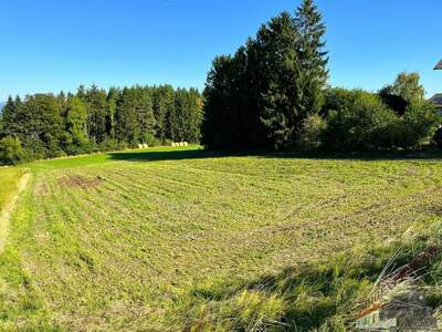 Grundstück kaufen in 2632 Penk (Bild 2)