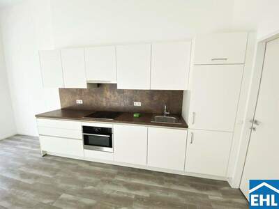 Terrassenwohnung mieten in 1100 Wien (Bild 2)
