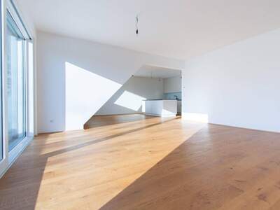 Wohnung mieten in 1220 Wien