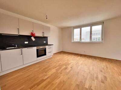 Wohnung mieten in 8430 Leibnitz