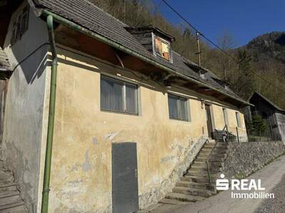 Haus kaufen in 4460 Losenstein (Bild 2)