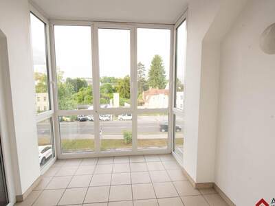 Wohnung mieten in 4470 Enns (Bild 1)