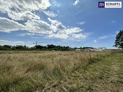 Grundstück kaufen in 8141 Unterpremstätten (Bild 3)