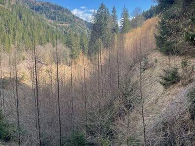 Gewerbeobjekt kaufen in 8850 Murau (Bild 4)