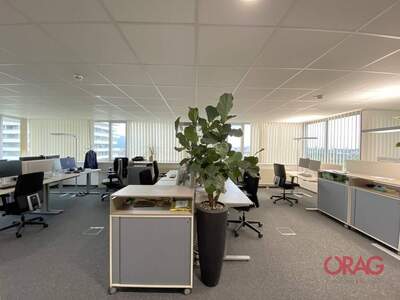 Gewerbeobjekt mieten in 4040 Linz