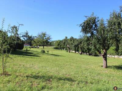 Grundstück kaufen in 7435 Unterkohlstätten