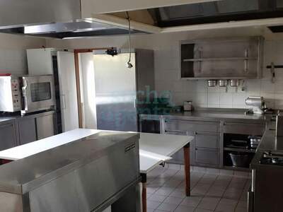 Gewerbeobjekt kaufen in 2560 Alkersdorf (Bild 5)