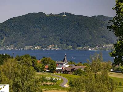 Grundstück kaufen in 4881 Straß (Bild 4)