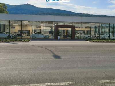 Gewerbeobjekt kaufen in 2353 Guntramsdorf (Bild 1)