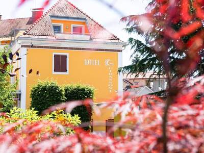 Anlageobjekt kaufen in 8430 Leibnitz (Bild 3)