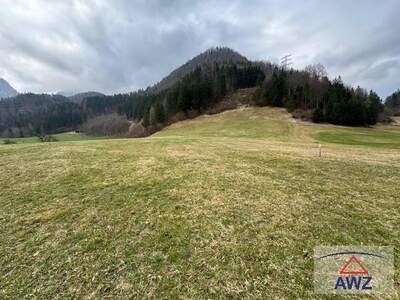 Gewerbeobjekt kaufen in 8931 Landl