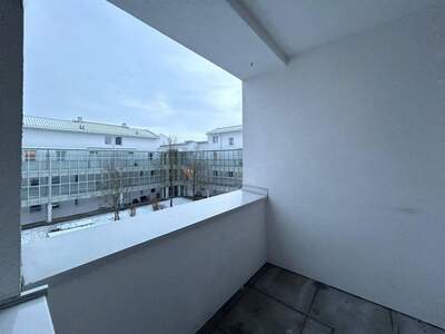 Wohnung mieten in 4063 Hörsching