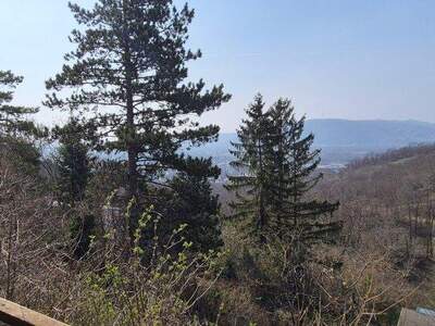 Grundstück kaufen in 2103 Langenzersdorf (Bild 3)