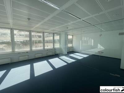 Gewerbeobjekt mieten in 1020 Wien (Bild 5)