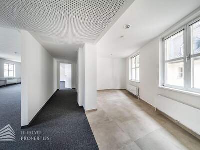 Gewerbeobjekt mieten in 1010 Wien (Bild 3)