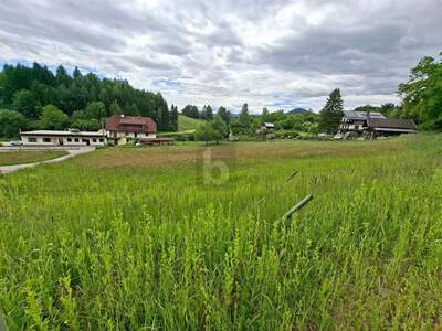 Grundstück kaufen in 9560 Feldkirchen (Bild 3)
