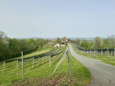 Haus kaufen in 8441 Sankt Andrä (Bild 5)