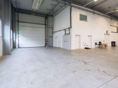 Gewerbeobjekt mieten in 4812 Wiesen (Bild 4)