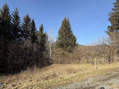 Grundstück kaufen in 8685 Steinhaus