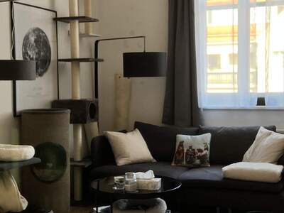 Apartment provisionsfrei mieten in 1140 Wien
