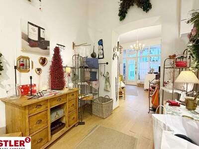 Gewerbeobjekt mieten in 2340 Mödling (Bild 1)