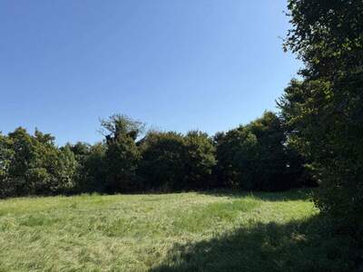 Grundstück kaufen in 2604 Theresienfeld