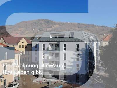 Anlageobjekt kaufen in 4560 Kirchdorf