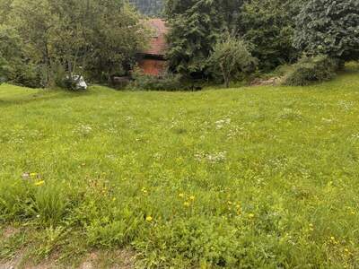 Grundstück kaufen in 9545 Radenthein (Bild 3)