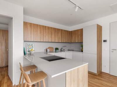 Mietwohnung in 1200 Wien