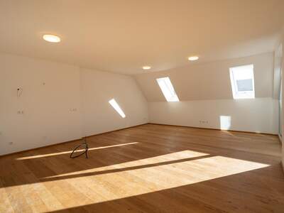 Terrassenwohnung kaufen in 9020 Klagenfurt (Bild 2)