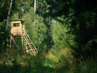 Grundstück kaufen in 1190 Wien