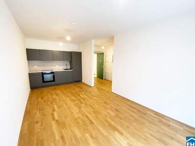 Apartment provisionsfrei mieten in 1110 Wien