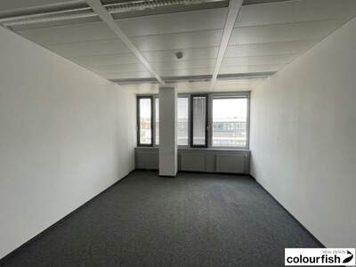 Gewerbeobjekt mieten in 1120 Wien (Bild 4)