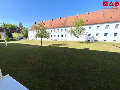 Wohnung mieten in 4400 Steyr (Bild 1)