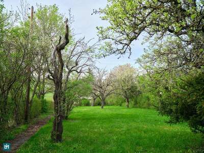 Grundstück kaufen in 2380 Perchtoldsdorf