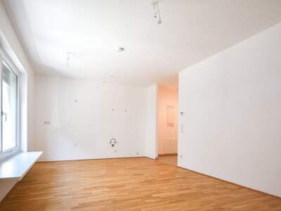 Wohnung kaufen in 1230 Wien