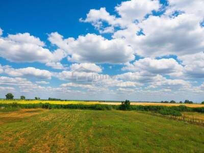 Grundstück kaufen in 7092 Winden