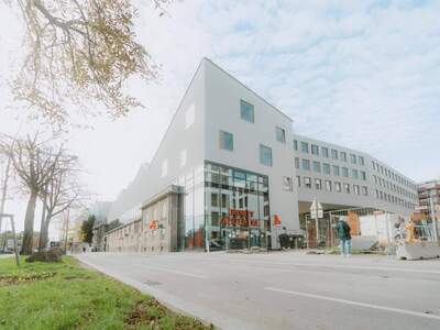 Gewerbeobjekt mieten in 1230 Wien