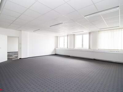 Gewerbeobjekt mieten in 4600 Thalheim (Bild 3)