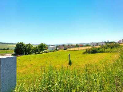 Grundstück kaufen in 2020 Hollabrunn