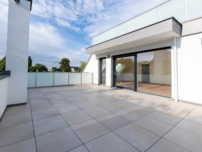 Terrassenwohnung kaufen in 1220 Wien (Bild 2)