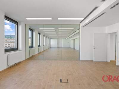 Gewerbeobjekt mieten in 1010 Wien (Bild 5)