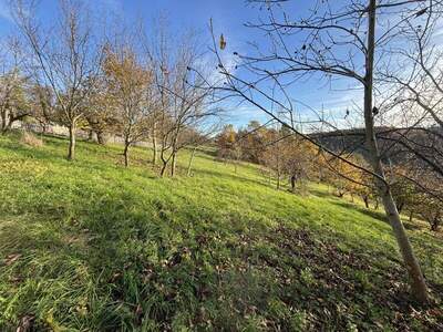 Grundstück kaufen in 8362 Ruppersdorf (Bild 2)