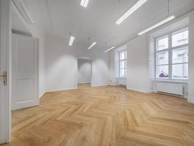 Gewerbeobjekt mieten in 1010 Wien (Bild 3)