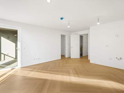 Terrassenwohnung kaufen in 1210 Wien (Bild 2)