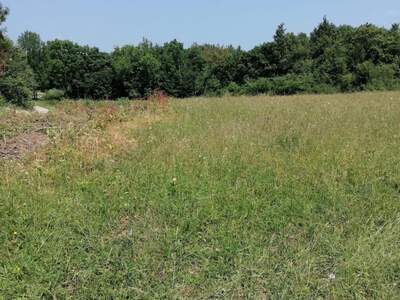 Grundstück kaufen in 53233 Vaganac (Bild 3)