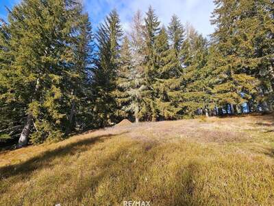 Grundstück kaufen in 8742 Sankt Anna (Bild 2)