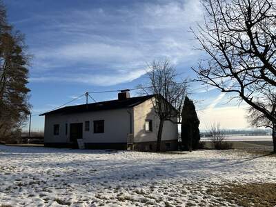Haus kaufen in 4101 Feldkirchen (Bild 5)