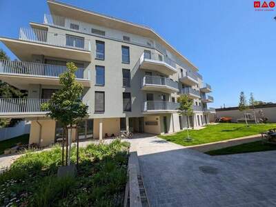 Wohnung mieten in 8055 Graz