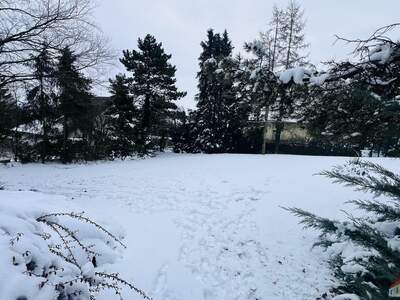 Einfamilienhaus kaufen in 2113 Karnabrunn (Bild 5)